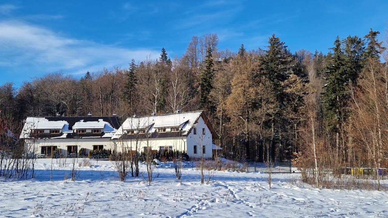 Widokowo - Domki z widokiem na Śnieżkę Karpacz Zewnętrze zdjęcie
